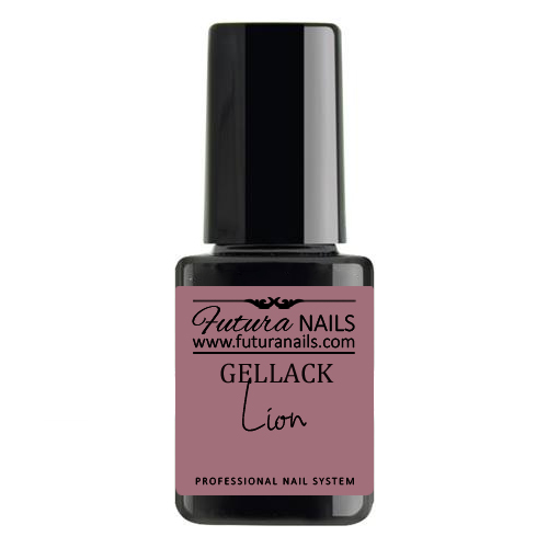 Gellack Lion Gellack Lion